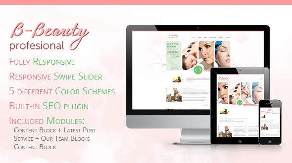 B-Beauty-WordPress-Theme