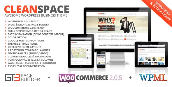 CleanSpace-Retina-Ready-Business-WP-Theme