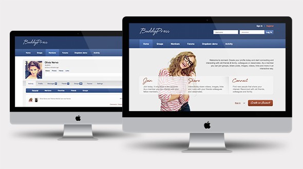 Connect-–-BuddyPress-WordPress-Community-Theme