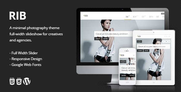 RIB-Responsive-Photography-WordPress-Theme