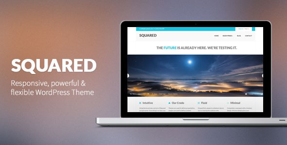 Squared-Responsive-WordPress-Theme