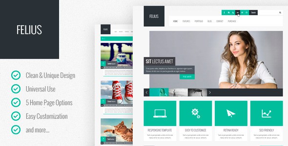 Felius-–-Multipurpose-PSD-Template