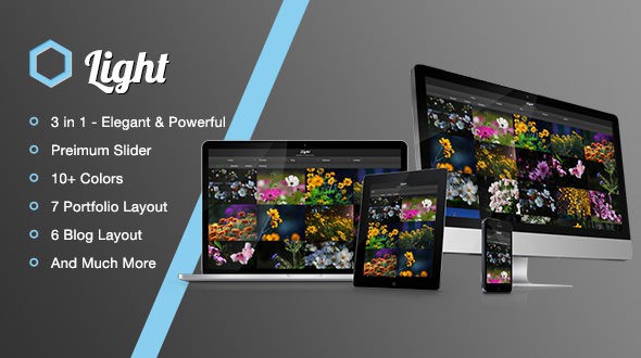 Light-–-A-Responsive-Multi-Purpose-HTML-Template1