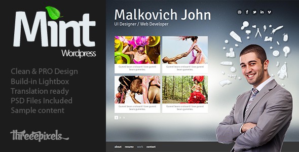 Mint-vCard-WordPress-Theme