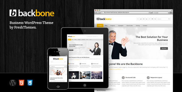 best-business-wordpress-themes-11