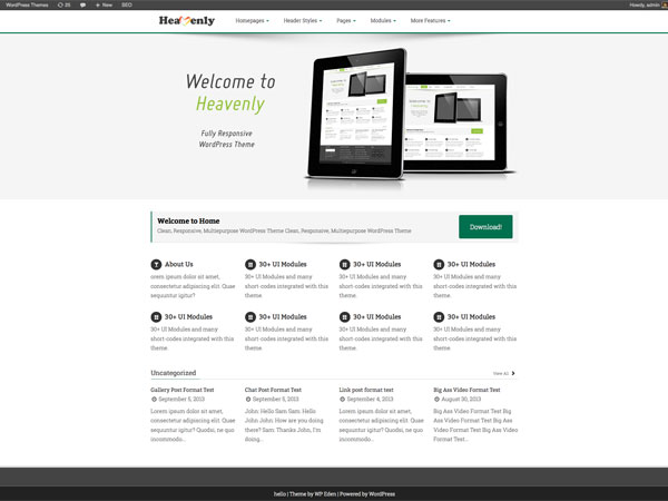 Heavenly-WordPress-Theme1