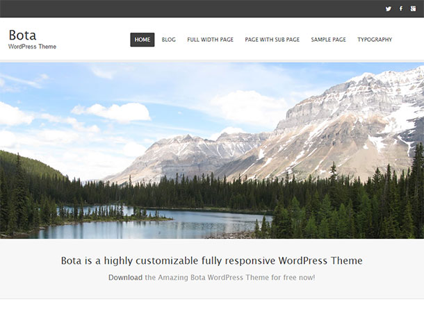 bota-wordpress-theme