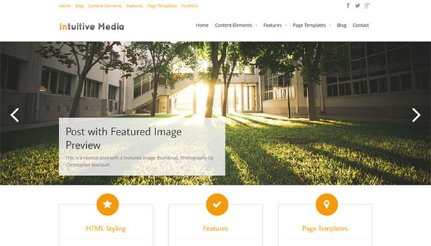 intuition-wordpress-theme