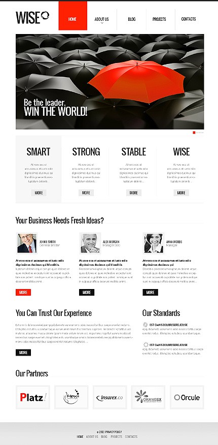 Financial Advisor Responsive WordPress Theme