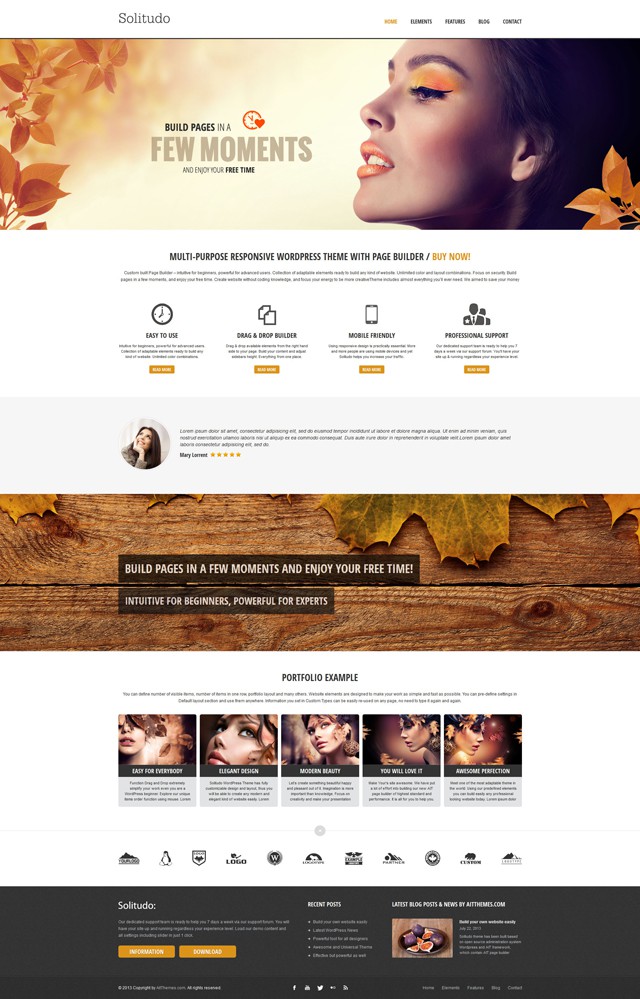 WordPress-drag-and-drop-theme