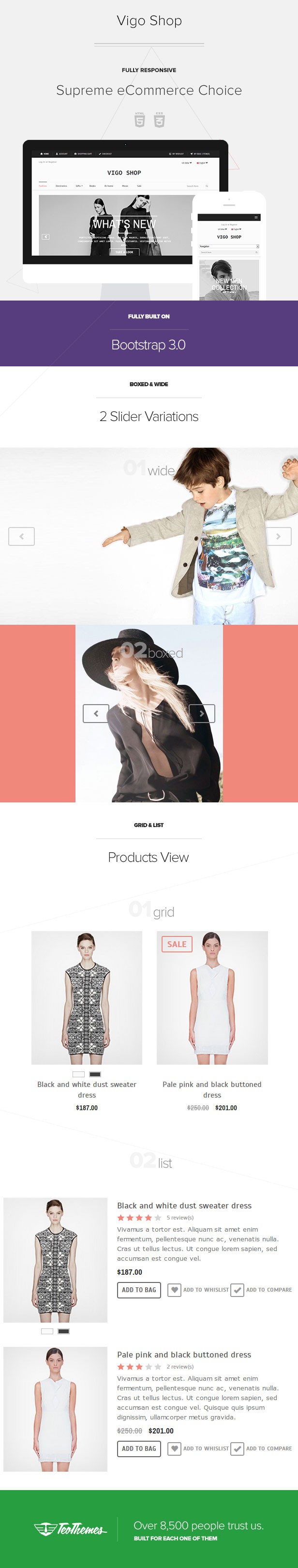 WordPress-woocommerce-theme