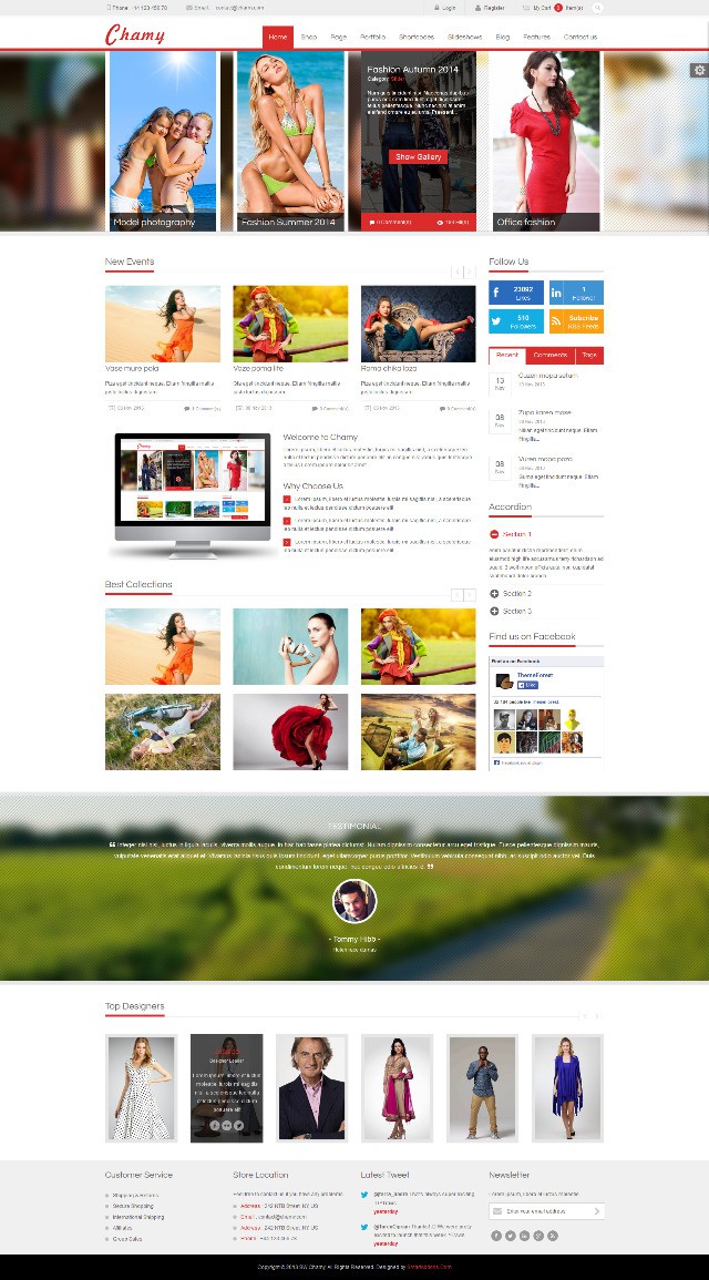 chamy-WordPress-theme