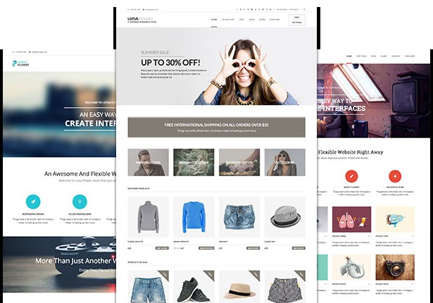 drag-and-drop-WordPress-theme