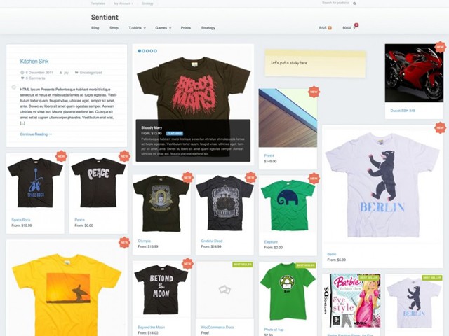 sentient-WordPress-t-shirt-theme-sales