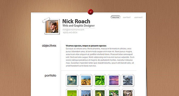 MyResume-WordPress-Theme