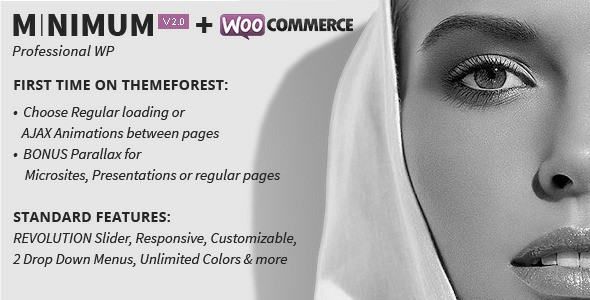 minimum-professional-wordpress-theme