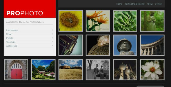 wp-prophoto-a-wordpress-theme-for-photographer